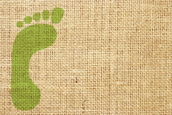 12129 A Sustainable Future